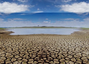 NSW in drought IMAGE
