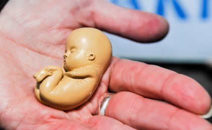 NSW abortion bill delay IMAGE