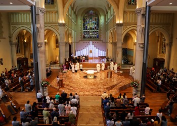 Maitland-Newcastle heads to ACYF: Day 3 (Mass at St Mary's Cathedral) IMAGE