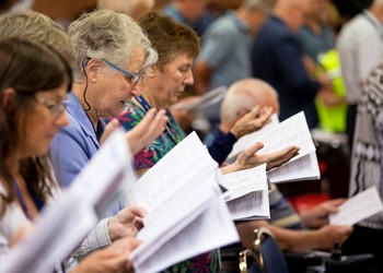 Synod Update: Now seeking 'Interested People' IMAGE