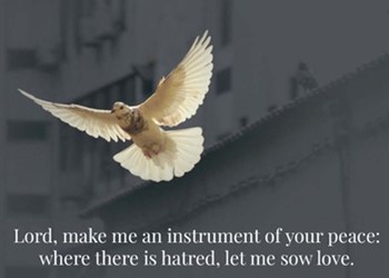 TUESDAYS WITH TERESA: Instruments of Peace IMAGE
