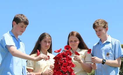 11 Schools Remember with Poppies  IMAGE