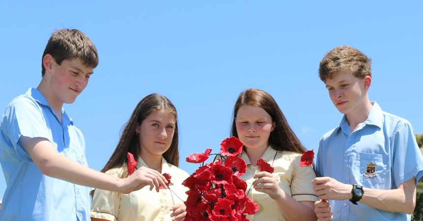11 Schools Remember with Poppies  IMAGE